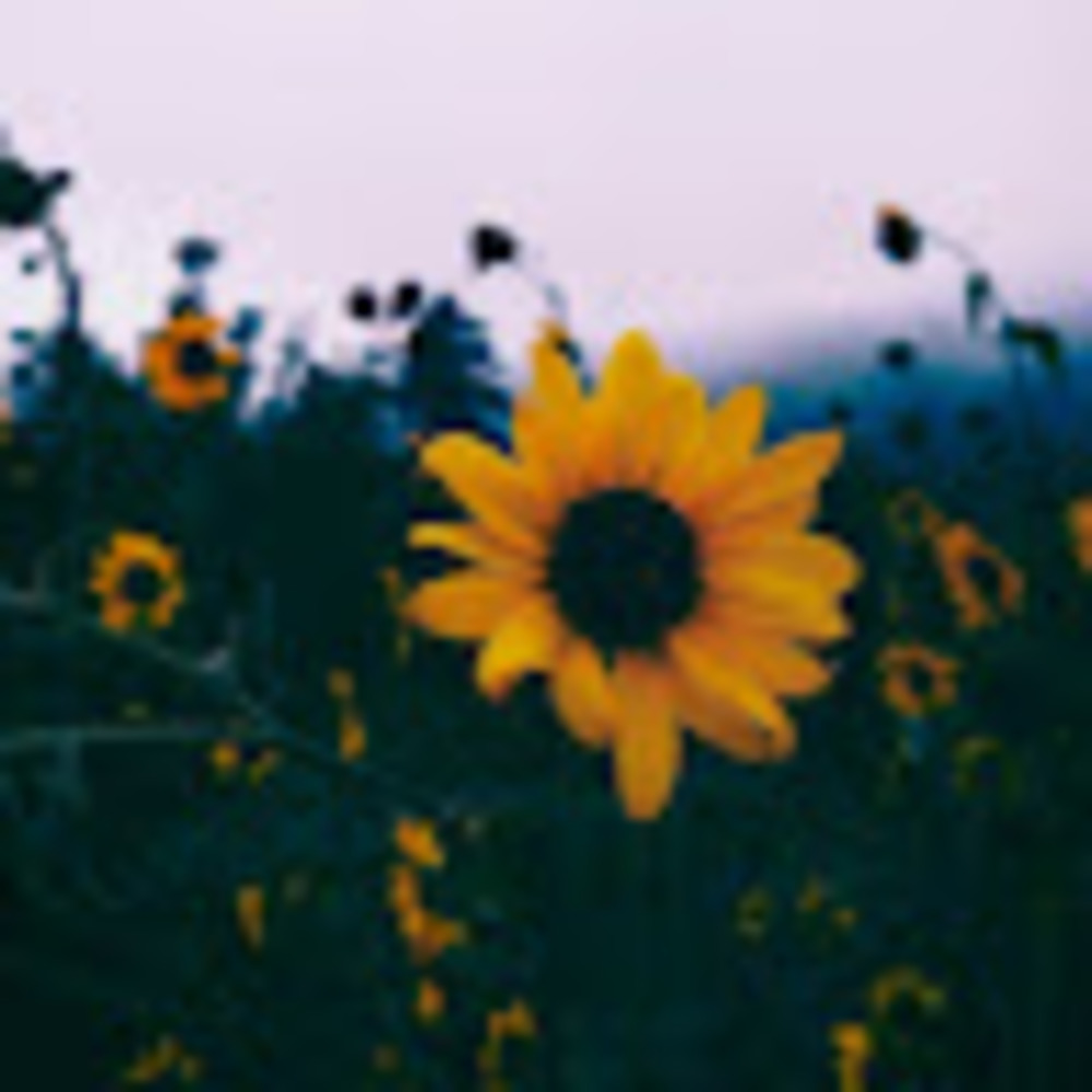 Meet your Posher, Christie